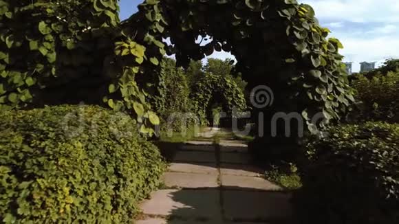 花园绿叶拱下的空中飞行视频的预览图