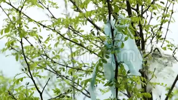 残破的塑料袋倚在树枝上视频的预览图