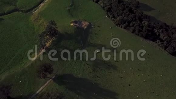 令人惊叹的新西兰景观4k空中启示视频的预览图