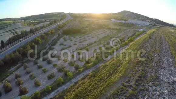 塞浦路斯农村地区的橄榄种植园高速公路上的活跃交通日落视频的预览图