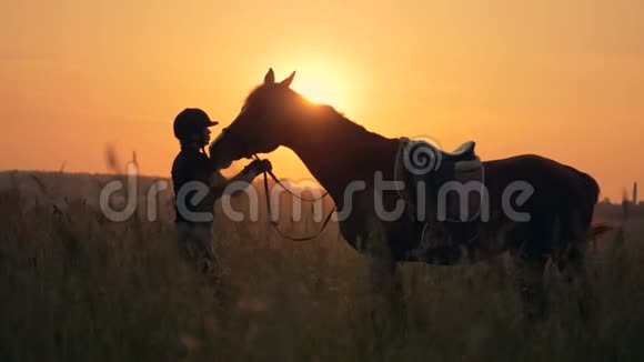 女人和她的马在夕阳的背景下视频的预览图