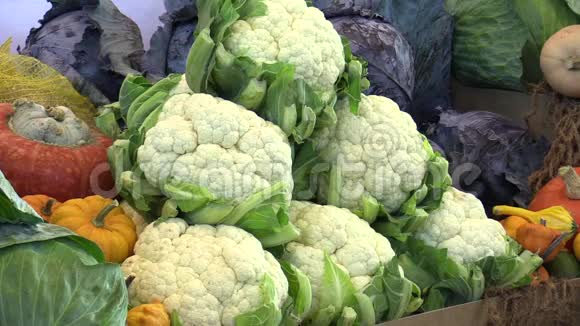 新鲜菜花红绿白菜南瓜优质天然蔬菜的市场销售地视频的预览图