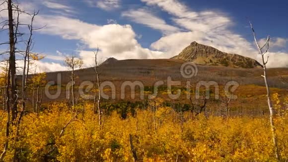 蒙大拿州冰川国家公园东侧的秋季高峰和植物视频的预览图