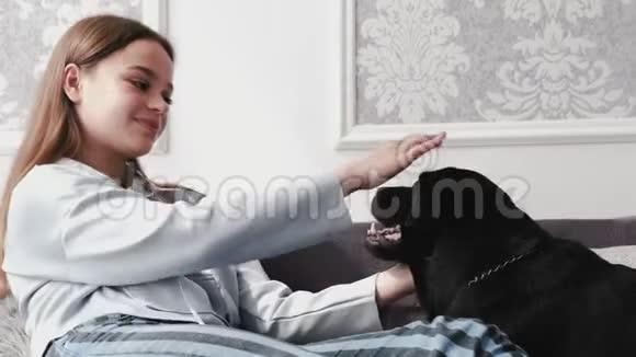 布吕内特女孩穿着休闲服装在白色房间里抚摸黑色拉布拉多坐在沙发上视频的预览图