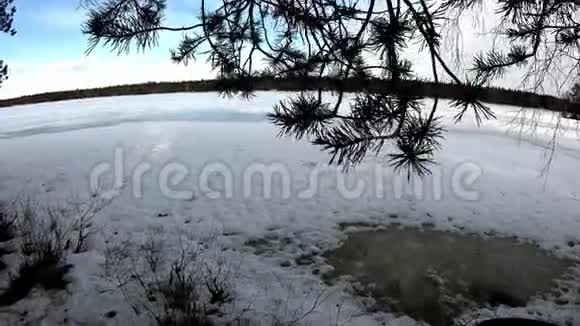 欧洲冬季仙境白桦环绕天云雪景优美视频的预览图