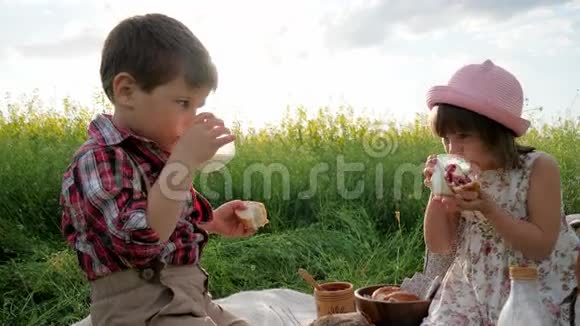 孩子们手里拿着一块面包和果酱在城外度假在背景花上野餐朋友喝酒视频的预览图