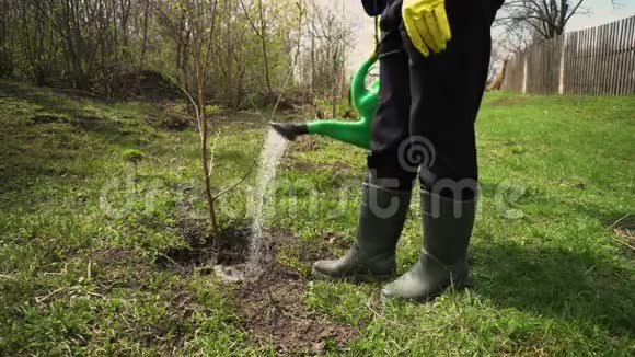 农民用罐子浇水春天花园的园丁植树视频的预览图