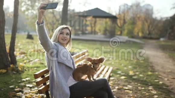 年轻漂亮的女人在公园里和她有趣的长发吉娃娃狗自拍秋季背景视频的预览图