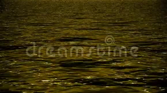 平静的海浪高清1080p分辨率完美循环视频的预览图