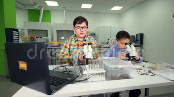 制作科学实验在实验室研究样品斯坦迪卡姆4K视频的预览图