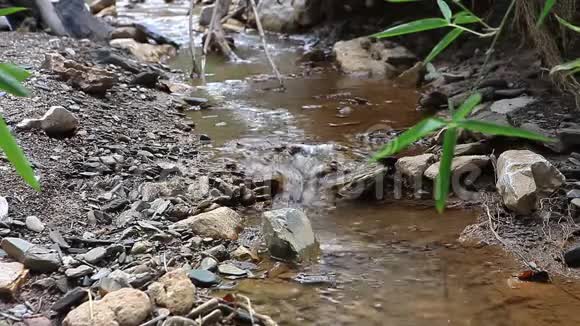 自然水流视频的预览图