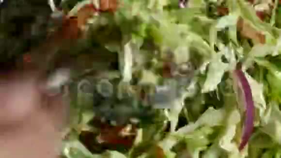 蔬菜沙拉混合在盘子里精心切碎的蔬菜的特写素食健康食品视频的预览图