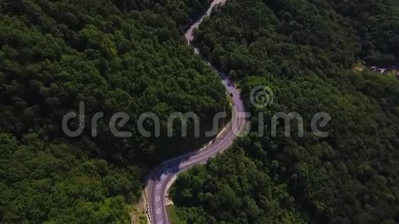 空中景色在两条小巷的老林路上飞过有一辆车一辆行驶两片茂密的树林中都生长着绿树视频的预览图