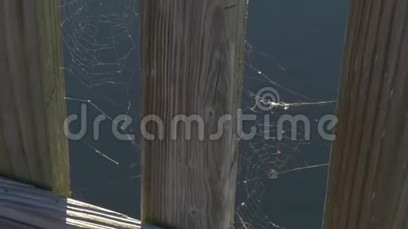 水背景上的蜘蛛网关闭视频的预览图
