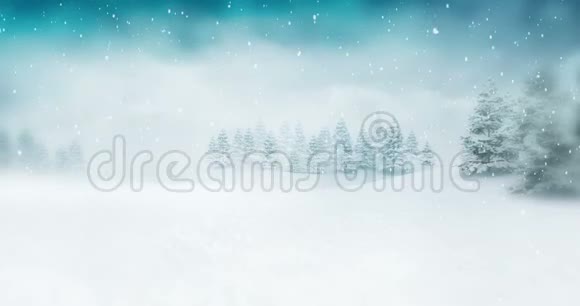 冬天白天的雪景视频的预览图