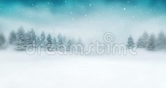 冬季季节的雪景视频的预览图
