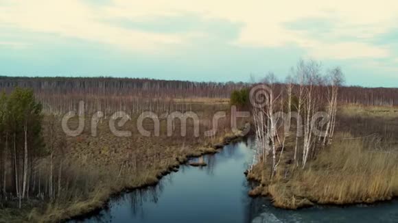 以田中蛇的形式鸟瞰河流视频的预览图