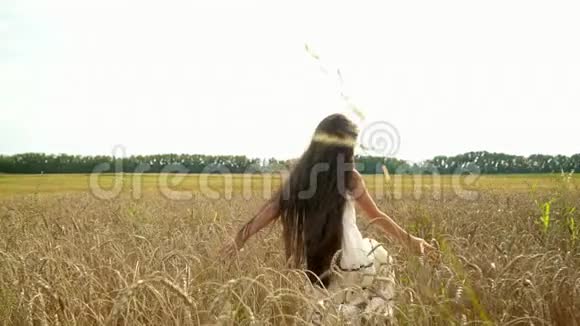 这个可爱的女孩走在俄罗斯的田野上黄昏时分一个女孩的手在草地上玩耍金色的时光视频的预览图