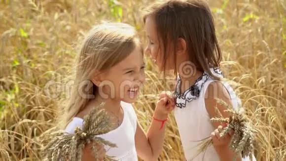 可爱的女孩穿着白色连衣裙手里拿着麦穗微笑着说话俄罗斯的本质无边无际的金麦地视频的预览图