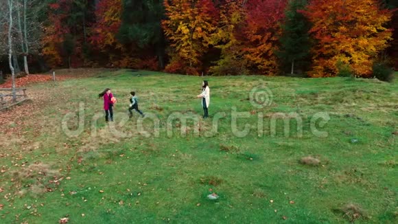 妈妈和她的孩子们在秋天的森林里玩球他们玩跑互相扔一个球家庭是视频的预览图