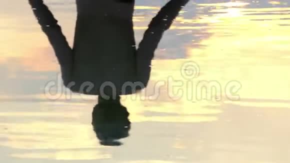 一个沉思的人在夕阳下的湖中看到视频的预览图
