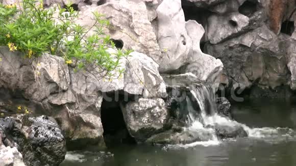山间的小瀑布视频的预览图
