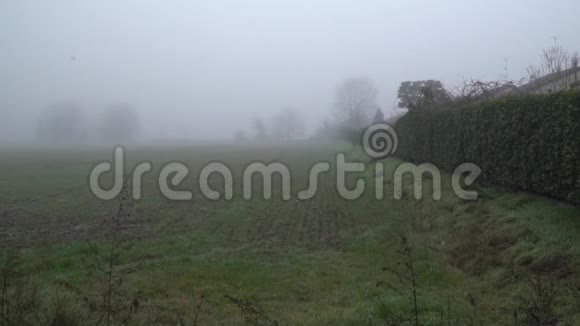 雾蒙蒙的早晨绿野神秘的乡村景象视频的预览图