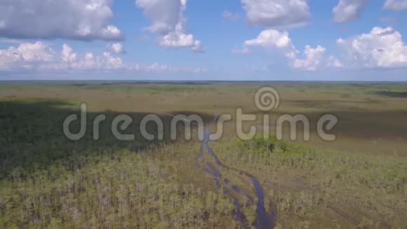 佛罗里达州2017年7月大沼泽地晴天4K激发2视频的预览图