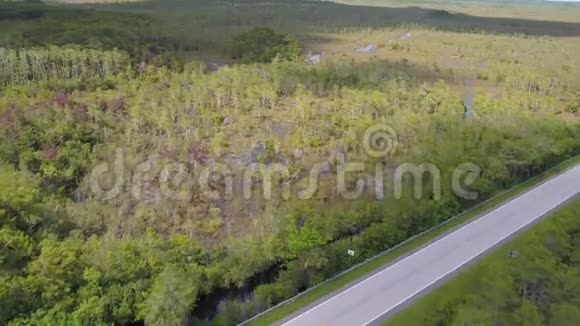 佛罗里达州2017年7月大沼泽地晴天4K激发2视频的预览图