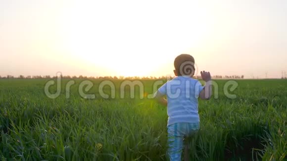 快乐的孩子跑进绿色的田野快乐的孩子在日落时跳进草地可爱的孩子在户外缓慢地玩耍视频的预览图