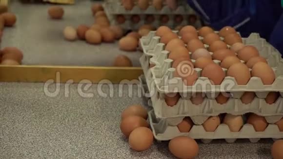 蛋厂鸡包装视频的预览图