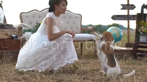 穿着白色连衣裙和黑色帽子的漂亮女人在田里和小狗玩背景是完整的视频的预览图