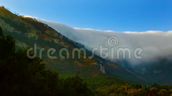 雾在山上视频的预览图