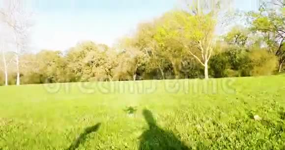 从草地上踏出看树木的身影视频的预览图