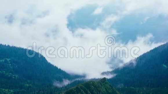 山上雾蒙蒙山林松林视频的预览图