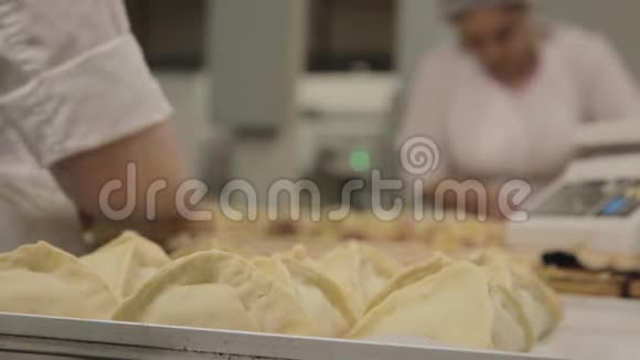 工厂生产饺子场景佩梅尼的生产饲料工业视频的预览图