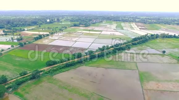 来自无人机的高清空中景观移动美丽的水稻种植场农业区视频的预览图