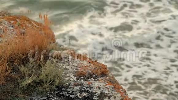水溅到岩石上带着青草和铜空视频的预览图
