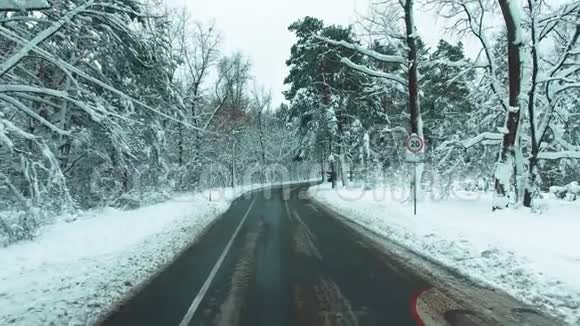 无人机飞过马路穿过冬雪林汽车POV视频的预览图