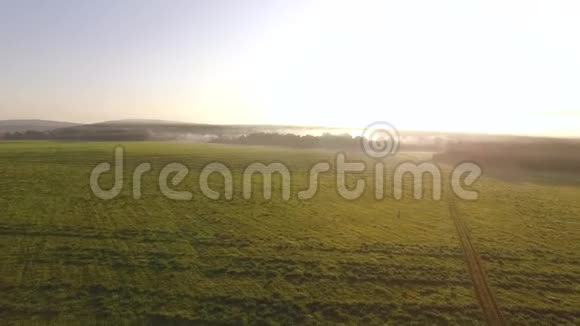 清晨薄雾和蓝天背景下乡村丘陵平原上绿色草地的俯视图录像图片视频的预览图
