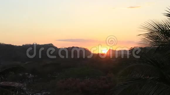 哥斯达黎加树木日落4K视频的预览图