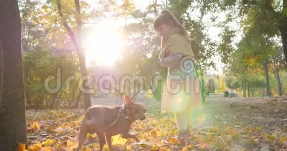 秋天公园阳光明媚的日子里小女孩带着小狗遛狗视频的预览图