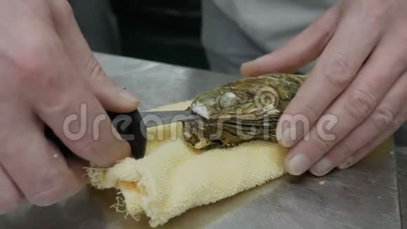特写厨子手里拿着刀打开一只新鲜的牡蛎餐厅的厨房视频的预览图