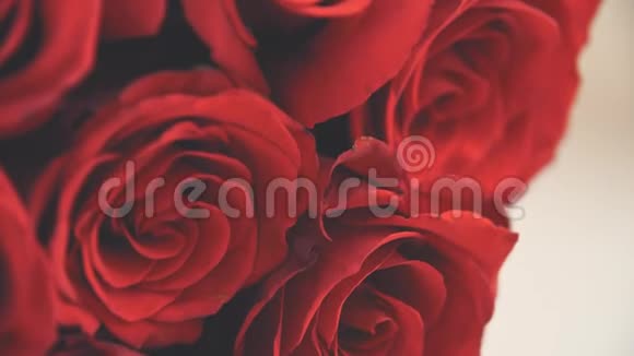 裁剪视频的花束大嫩的红玫瑰摄像机在向上移动视频的预览图