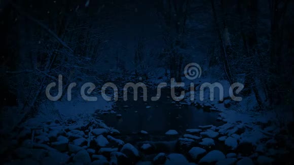 雪林中的河流在夜晚视频的预览图