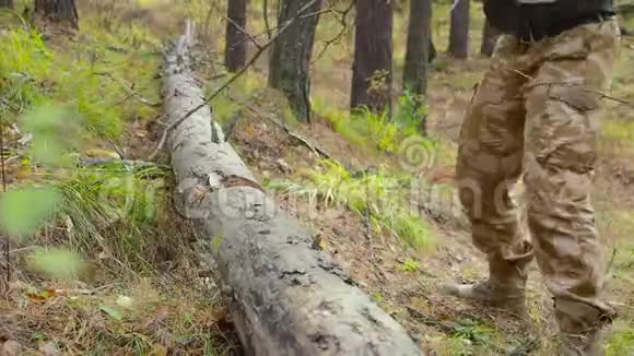 用斧子砍树的伐木工手和腿视频的预览图