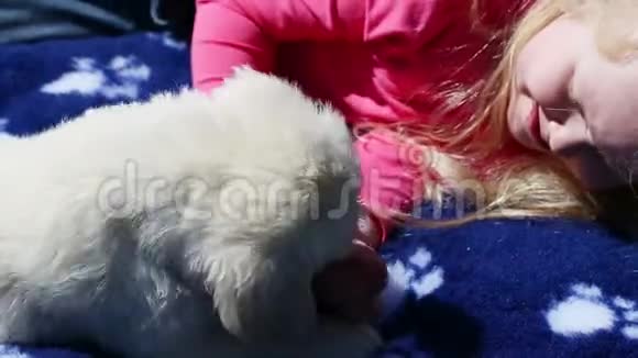 美丽的小女孩在大自然中玩小狗视频的预览图