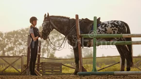 骑师女孩正在用张开的鬃毛抚摸一匹马慢动作视频的预览图