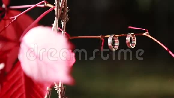 红树上的结婚戒指视频的预览图