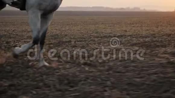 日落时骑在马身上的女孩腿特写动作缓慢视频的预览图